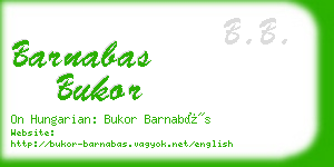 barnabas bukor business card